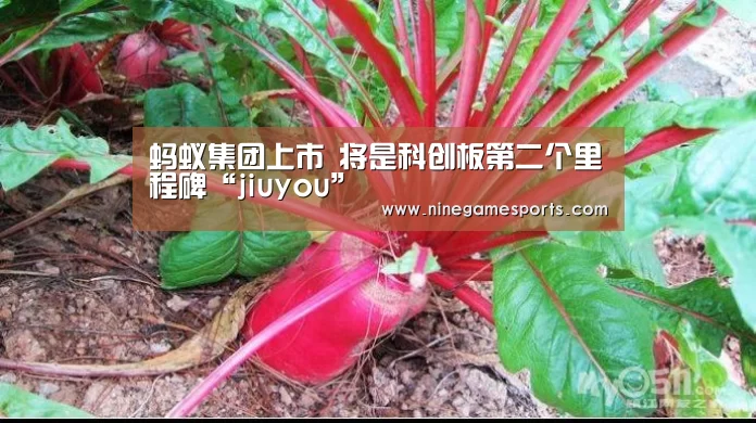 九游官网