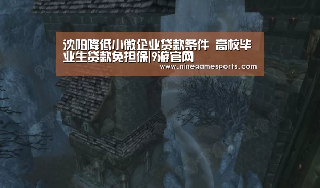沈阳降低小微企业贷款条件 高校毕业生贷款免担保|9游官网(图2) 九游官网
