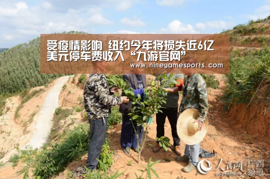 受疫情影响 纽约今年将损失近6亿美元停车费收入“九游官网”(图1)